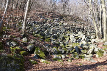 Felsenmeer bei Reichenbach