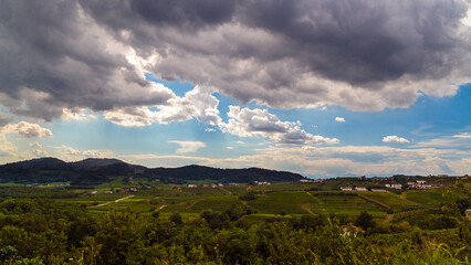 Stormy day in the vineyards of Brda, Slovenia