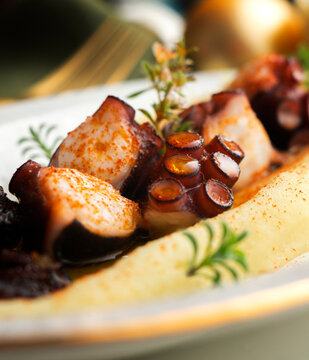 Grilled octopus with potato parmentier and olive oil. Traditional Spanish tapa recipe.
