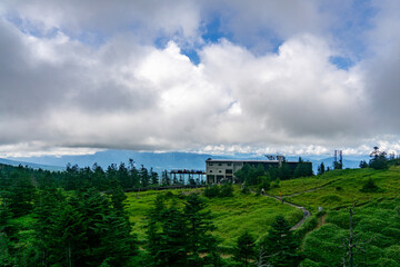 夏の坪庭自然園　天空の箱庭