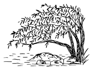 Simple hand drawn black outline vector drawing. Weeping willow bent over the water, river bank, stones. Wild lake. Landscape and nature. Sketch in ink. - obrazy, fototapety, plakaty