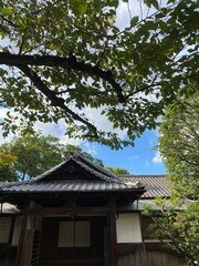 September cloudscape, Tokyo Japan &ldquo;Nezu&rdquo; shrine, year 2022