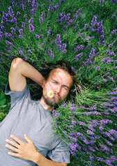 Young handsome bearded man with camomile in mouth lying among lavender flowers in blossom field. Happy smiling guy relax on the grass on sunny summer day feeling connection with nature.