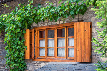 Wooden window with green leaves