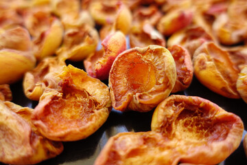 fresh apricots left to dry in the sun,