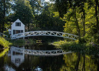 bridge over pond