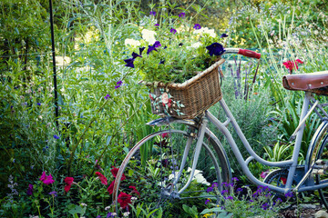 Fototapeta na wymiar bicycle in garden