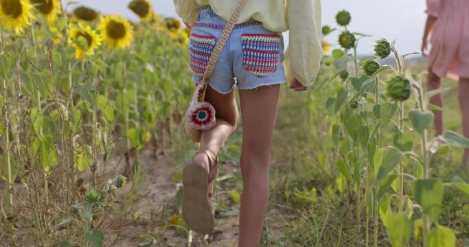 Two girl walking on yellow sunflower field in sunset. Freedom concept. Happy sisters outdoors. Harvest. Childhood. Country life. Back view of legs