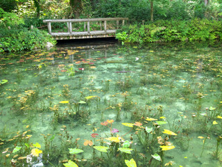 A pond with high transparency and a bridge for humans