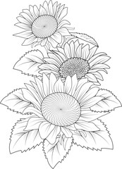 bouquet of sun flower hand drawn botanic illustration vector art  leaf branch isolated floral pencil sketch coloring page for adult