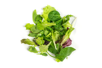 mix of different leaves for salad isolated