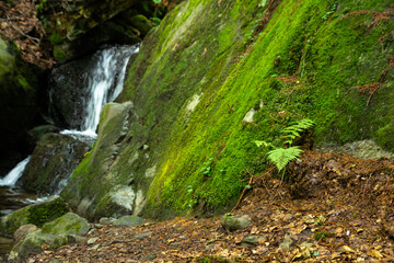 a rock covered with moss, a waterfall in the background