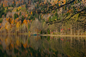 Autumn Colors in the Borcka Karagol Lake, Borcka Artvin, Turkey