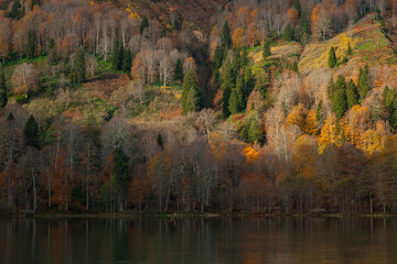 Autumn Colors in the Borcka Karagol Lake, Borcka Artvin, Turkey