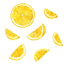 watercolor drawing lemon slices, citrus fruit, hand drawn illustration