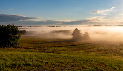 Sunrise in the Biebrza National Park. Foggy morning. The sun is shining through the fog. Trees in...