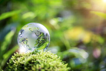 Obraz na płótnie Canvas Globe planet glass In green forest with bokeh nature lights. world environment day. concept for environment conservation, protect ecology earth and environmental eco-friendly life with copy space