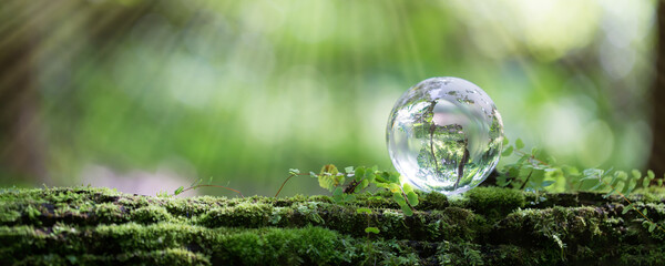 Globe planet glass In green forest with bokeh nature lights. world environment day. concept for...