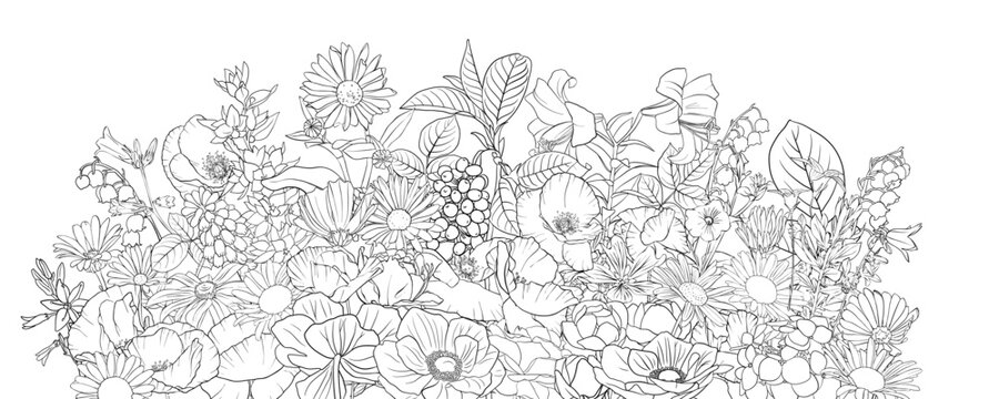 vector drawing natural background with flowers, black and white coloring page, hand drawn illustration