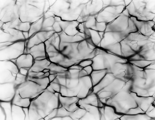 Water Texture Background 