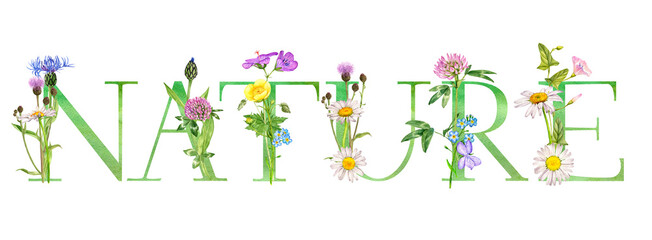 watercolor drawing lettering nature with flowers, hand drawn illustration