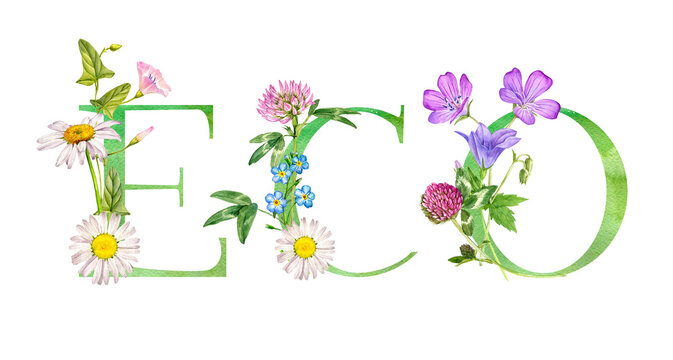 watercolor drawing lettering eco with flowers, hand drawn illustration