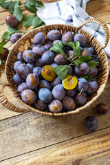 Fruit background, organic fruits. Still life food. Basket of fresh blue plums on a rustic wooden table. Copy space.