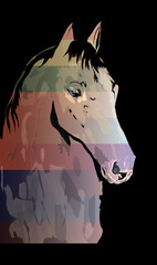 Horse, picture of a powerful stallion, in various colors and patterns
