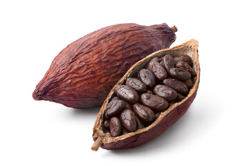 Cocoa beans with cocoa pod isolated on white background. Clipping path. - obrazy, fototapety, plakaty