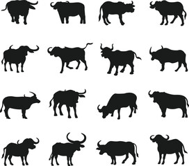 Collection of Buffalo Girls flat isolated vector Silhouettes