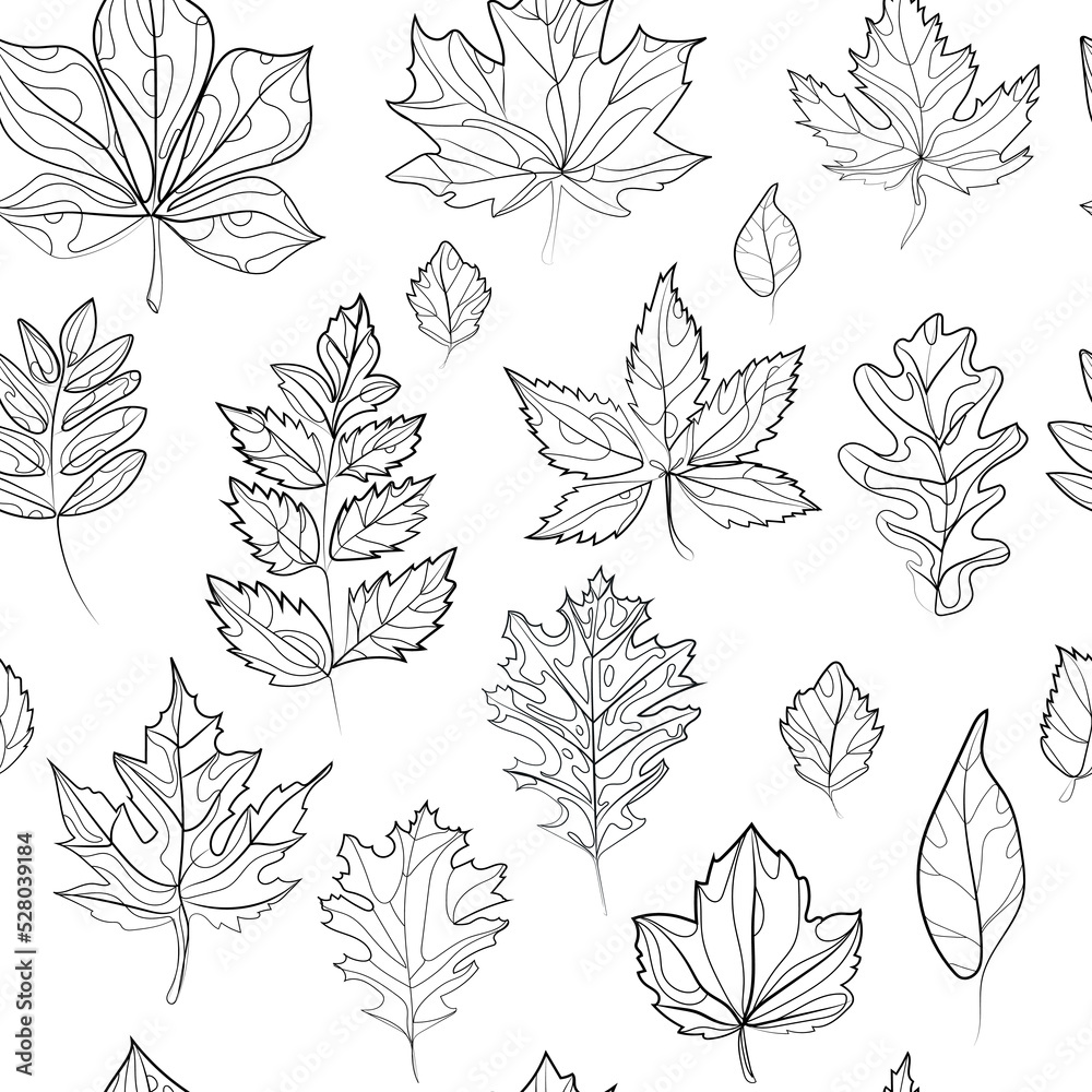 Wall mural autumn leaves seamless pattern black and white doodle style line drawing vector illustration.leaves 