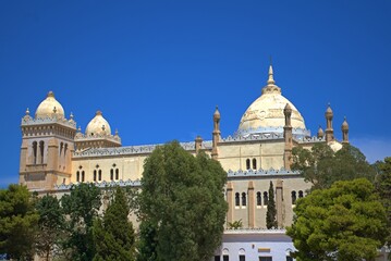 Fototapeta na wymiar basilica of st peter