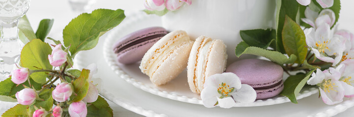 Obraz na płótnie Canvas Beautiful composition with delicious French macarons and spring flowers in a white cup. Sweet dessert, early spring white and pink flowers, wedding decor, bride morning. Banner