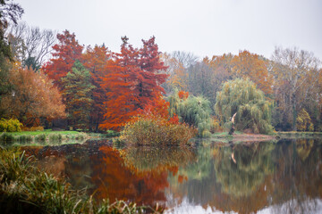 Jesień w Arboretum w Kórniku