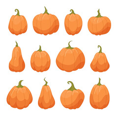Pumpkin set in cartoon flat style isolated on white background. Autumn vector illustration for graphic design. Collection