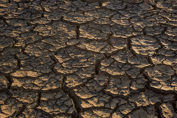 Closeup cracked earth with dry soil