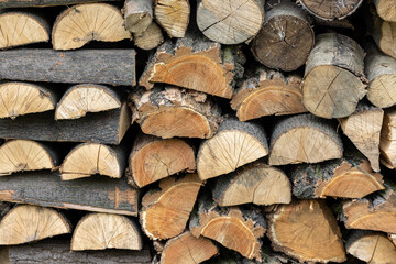  stack of firewood prepared for winter