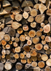  stack of firewood prepared for winter