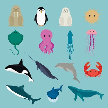set of Sea cute animals