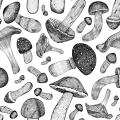 Seamless pattern of different mushrooms. Background of mushrooms drawn by hand. Graphics. Engraving