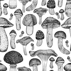 Seamless pattern of different mushrooms. Black and white background with mushrooms. Hand-drawn in the style of engraving. Graphics.