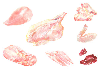 水彩で描いた鶏肉のイラストセット © yoko obata