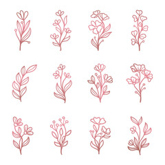 Feminine pink floral element ornament set template gold vector