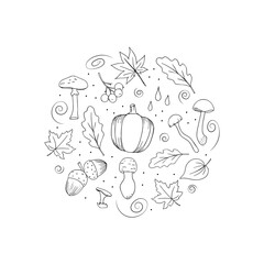 Autumn Doodles set of plant elements. Mushrooms, leaves, berries, pumpkin, isolated on a white background. Black and white vector illustration