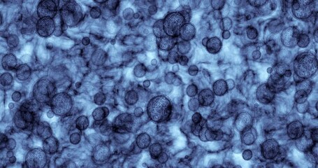 Bacteria, virus and or germs cell molecules with science technology innovation in medical research lab. Closeup of biology covid, cancer treatment or flu microorganism under medical microscope