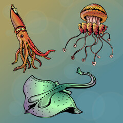 jellyfish and sea set