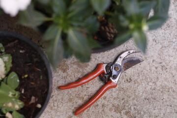 pruning tool