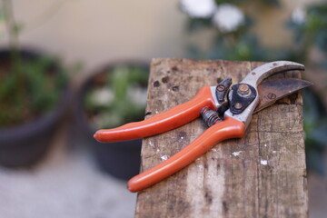 pruning tool