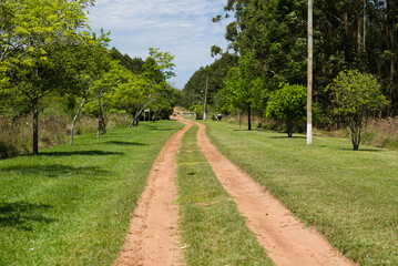 Fototapeta na wymiar Countryside pathway in Ombu Chico, in the Province of Misiones, Argentina.