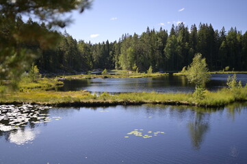 National Park in Finland Nuuksio -a journey in the greenery landscape of photos. Trees, forest, vegetation, lakes, ecoclimate, ecosystem 